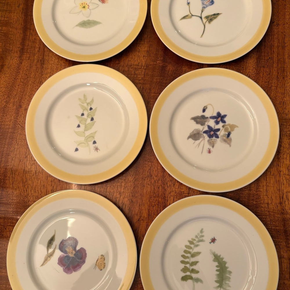 Set Of Six Williams Sonoma Summer Studies Botanical 7.75” Salad Plates Japan - Picture 2 of 7